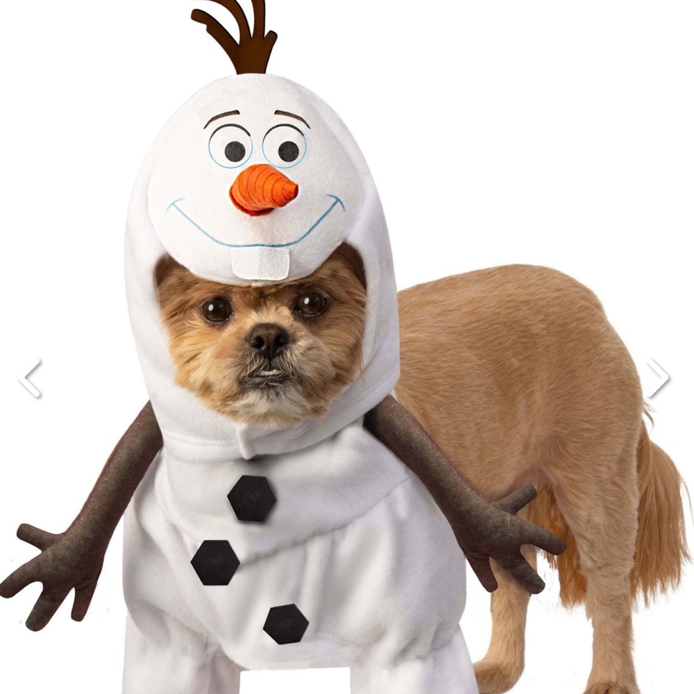 Frozen Olaf Dog Costume - large